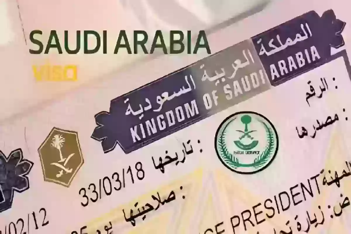 تقدر تحصلها إلكترونيًا | شروط فيزا روسيا 2024 للسعوديين (الشروط - التكلفة - طريقة التقديم)