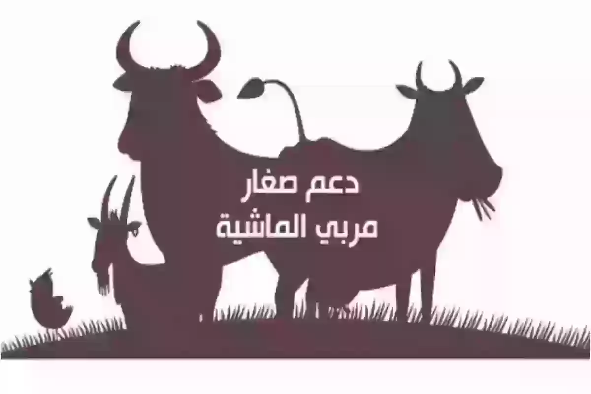 من يستحق الاستفادة من دعم المواشي وكم يبلغ الدعم؟!