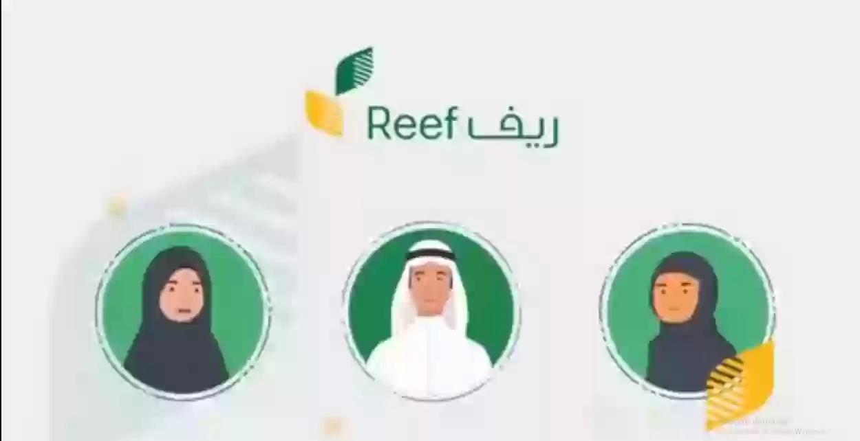 طرق التواصل مع منصة ريف