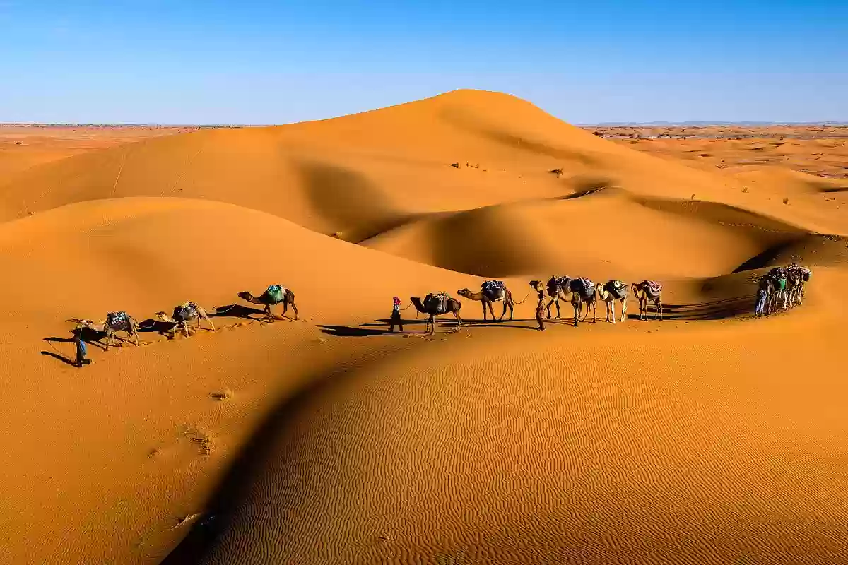 العوني وش يرجع .. وما هو أصل عائلة العوني في السعودية