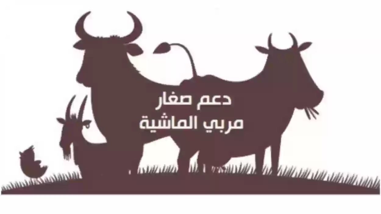 حالات يتم فيها وقف الدعم عن المستفيدين